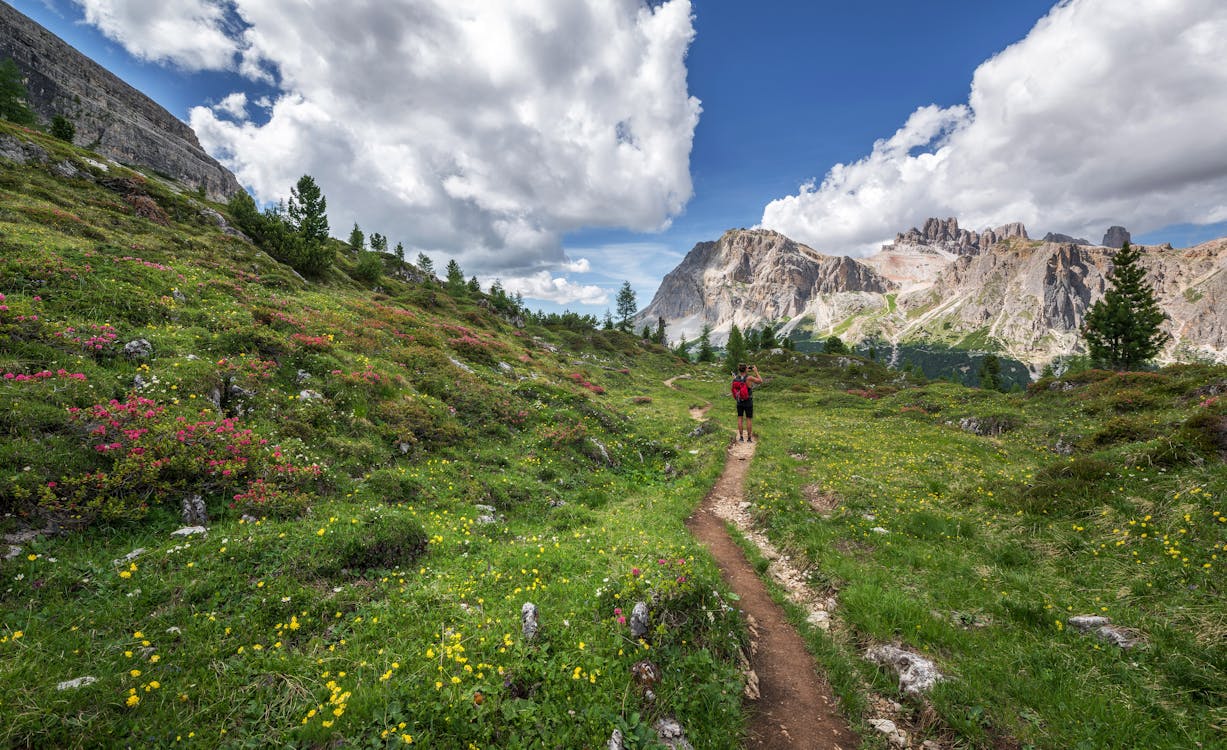 Hiker walking along a scenic mountain trail surrounded by green meadows and peaks